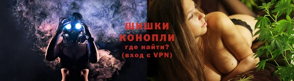 PSILOCYBIN Верея