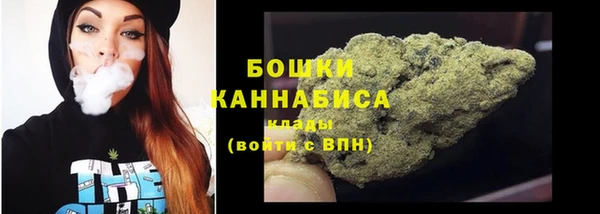 PSILOCYBIN Верея