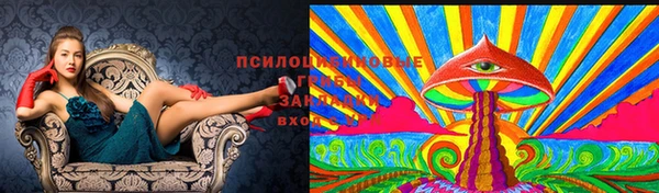PSILOCYBIN Верея
