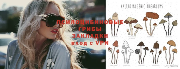 PSILOCYBIN Верея