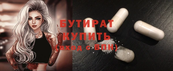 сатива Бородино